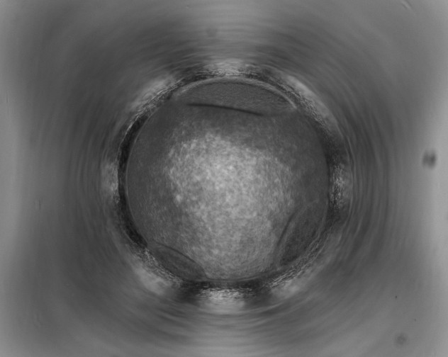 X0000098200500200805011150