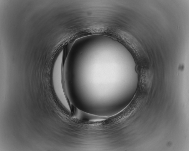 X0000098200501200805011150