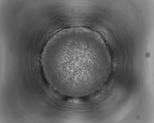 X0000098200503200805011150