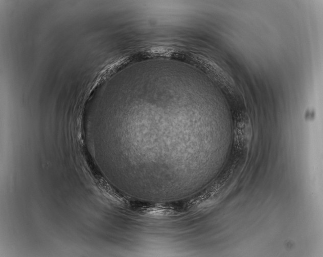 X0000098200504200805011150