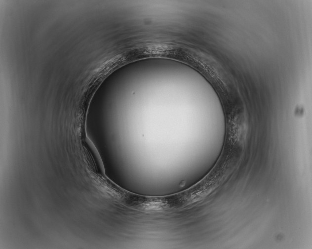 X0000098200505200805011150