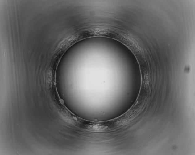 X0000098200506200805011150