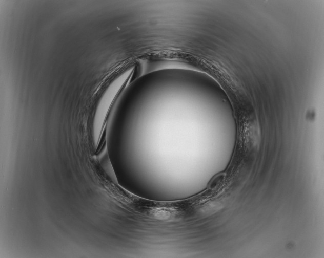 X0000098200508200805011150