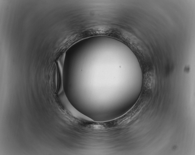 X0000098200509200805011150