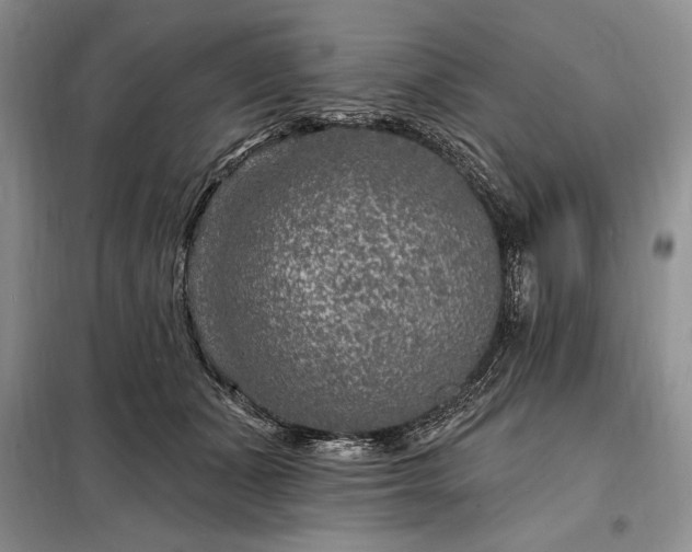 X0000098200511200805011150