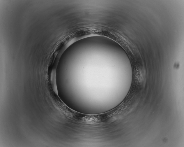 X0000098200512200805011150