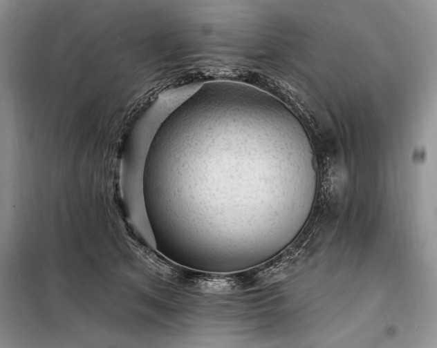 X0000098200513200805011150