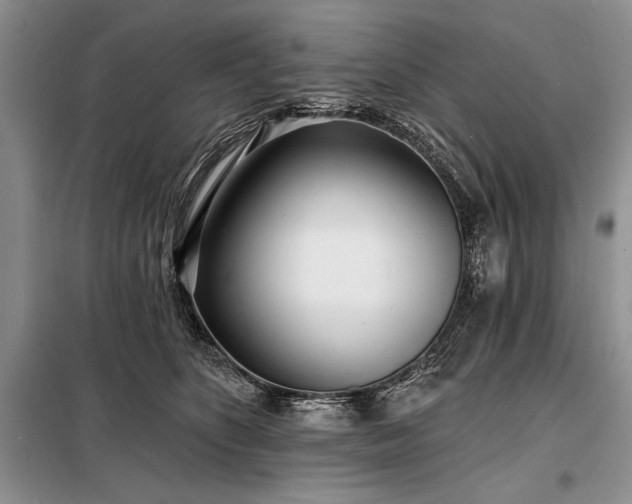 X0000098200516200805011150