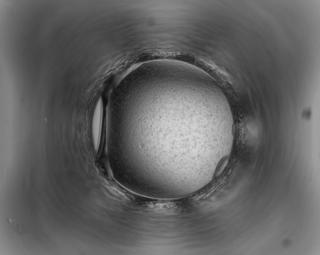 X0000098200517200805011150