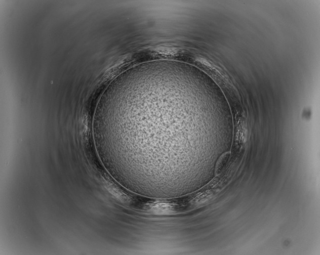 X0000098200518200805011150