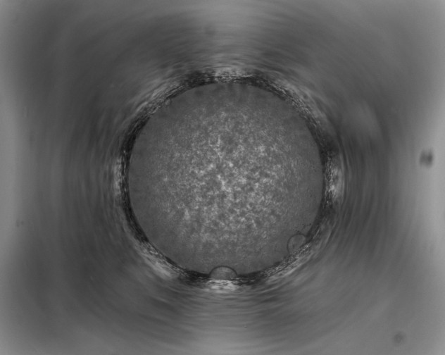 X0000098200519200805011150