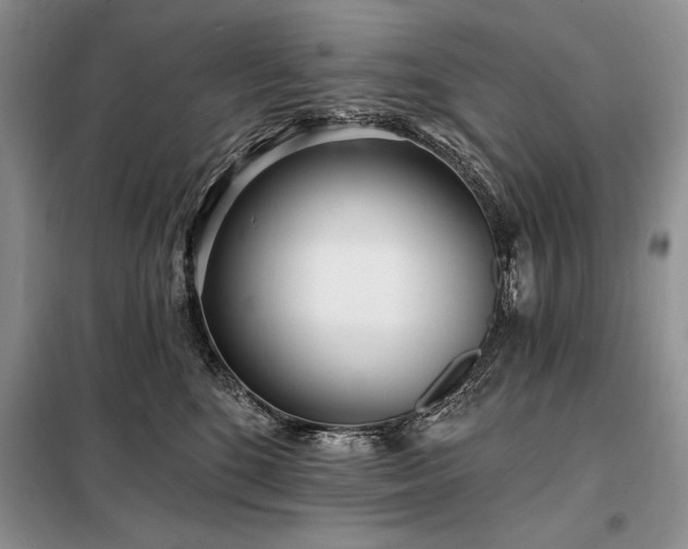 X0000098200520200805011150
