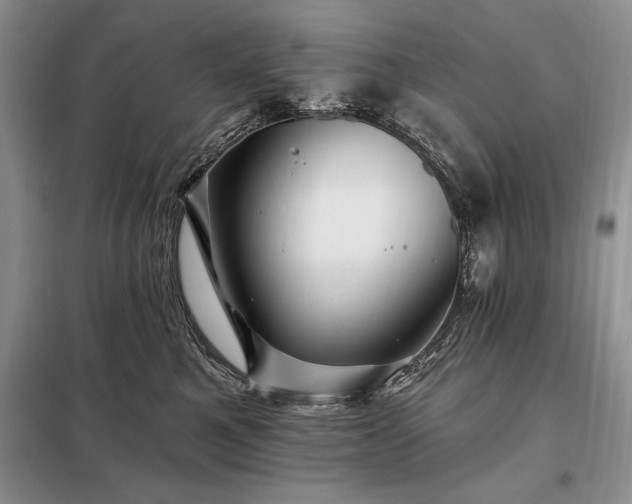 X0000098200521200805011150