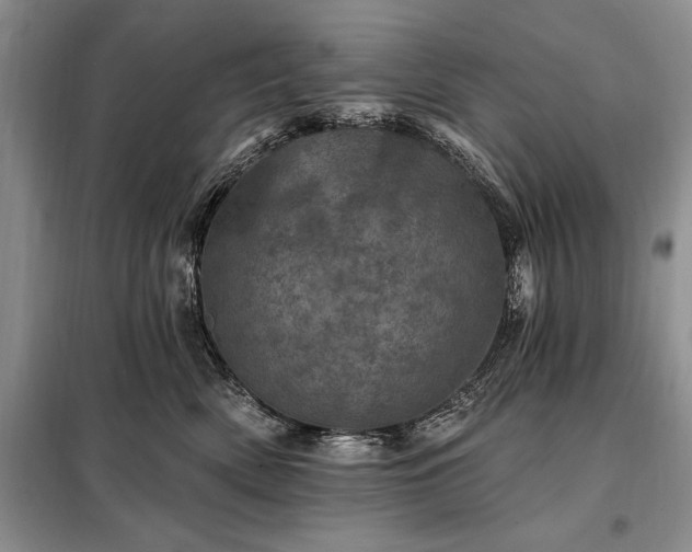 X0000098200522200805011150