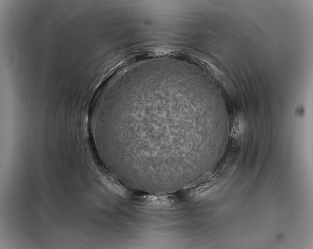 X0000098200524200805011150