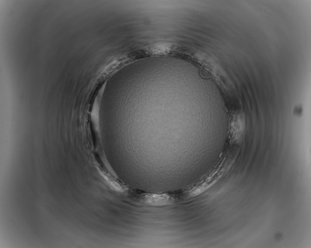 X0000098200525200805011149