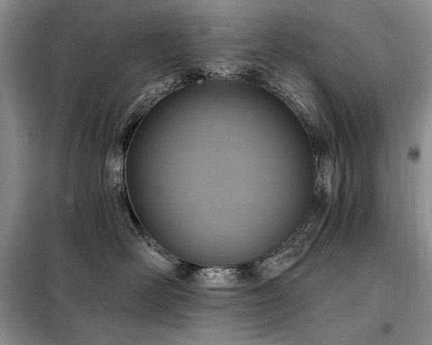 X0000098200526200805011149