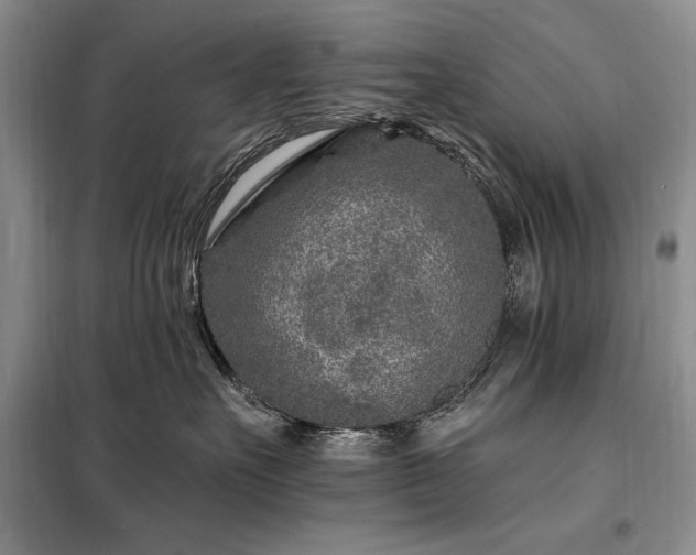 X0000098200527200805011149