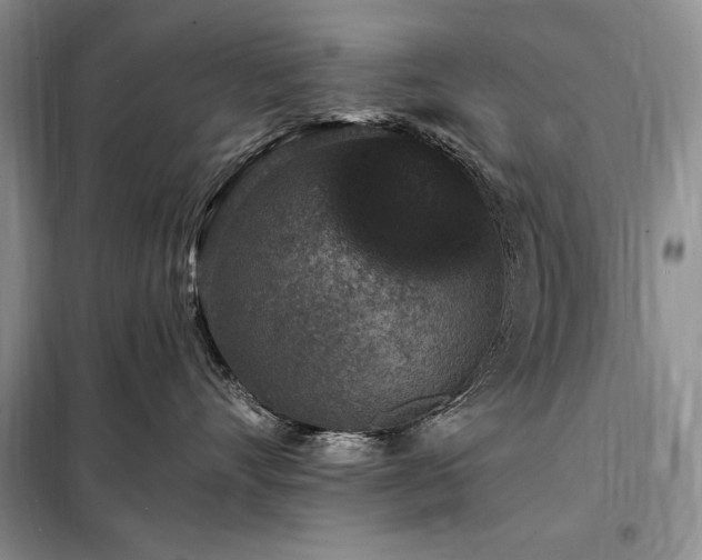 X0000098200528200805011149