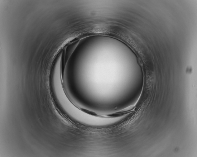 X0000098200530200805011149