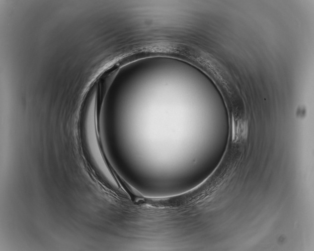 X0000098200531200805011149