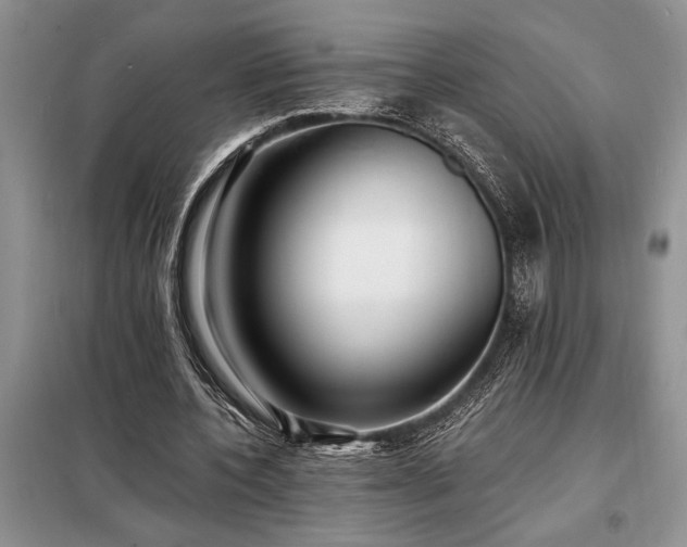 X0000098200532200805011149