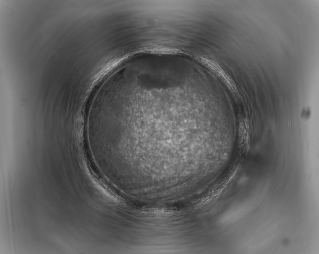 X0000098200533200805011149