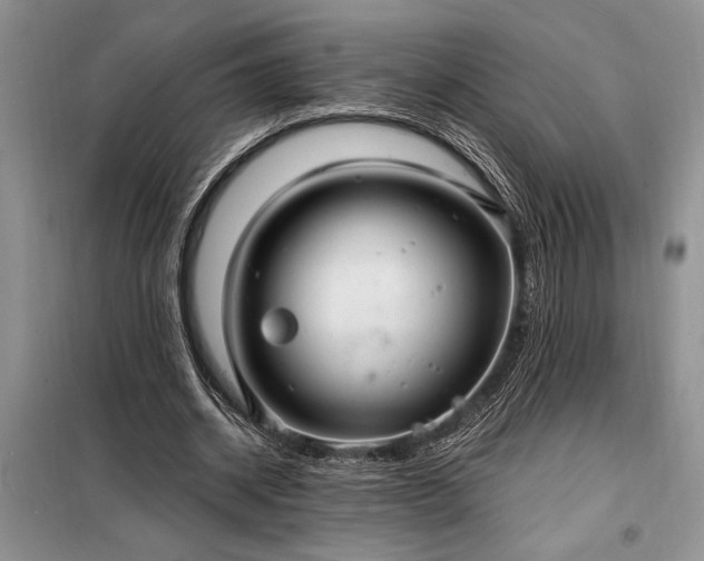 X0000098200534200805011149