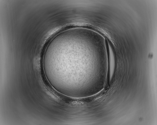X0000098200535200805011149