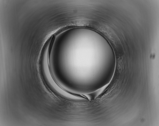 X0000098200536200805011149