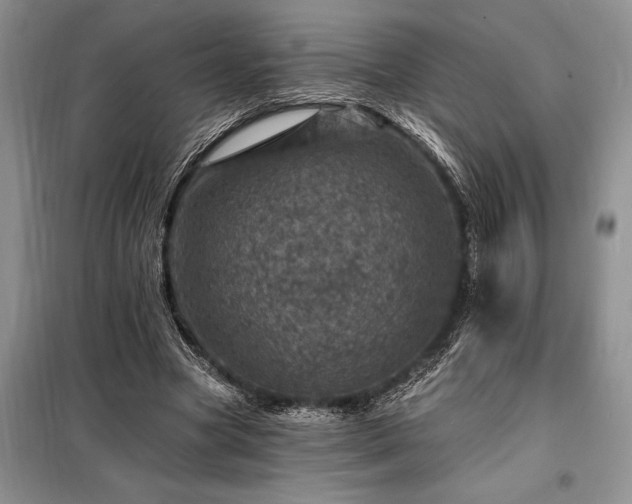 X0000098200537200805011149