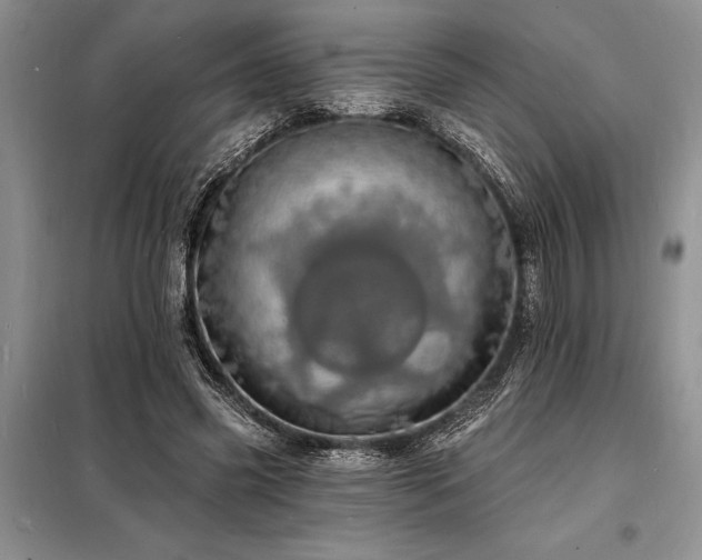 X0000098200541200805011149