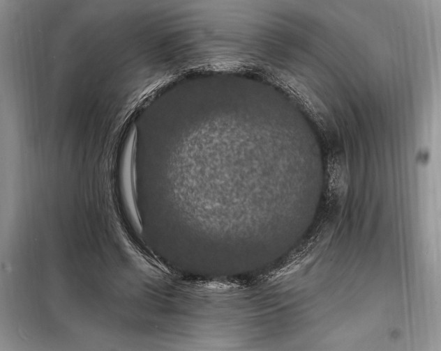 X0000098200542200805011149