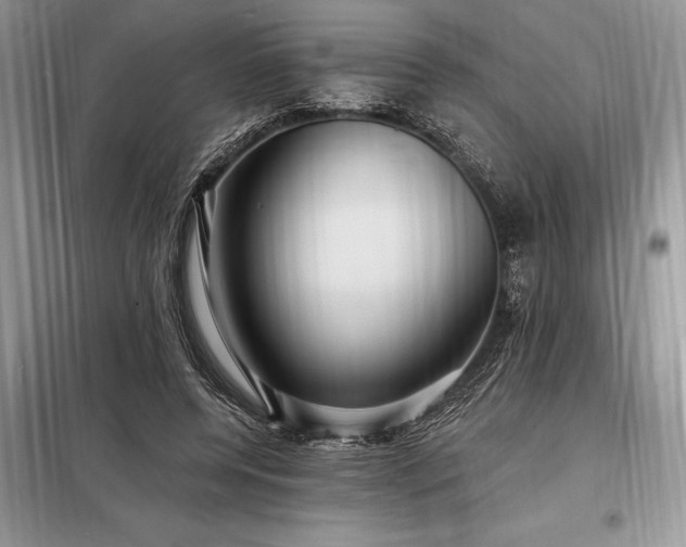 X0000098200544200805011149