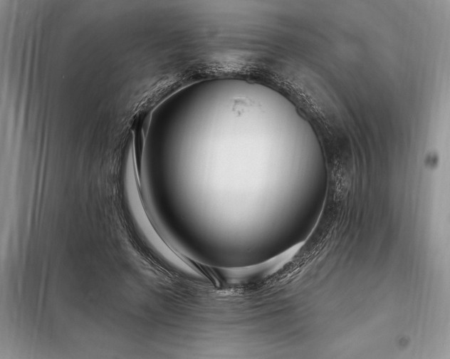 X0000098200546200805011149