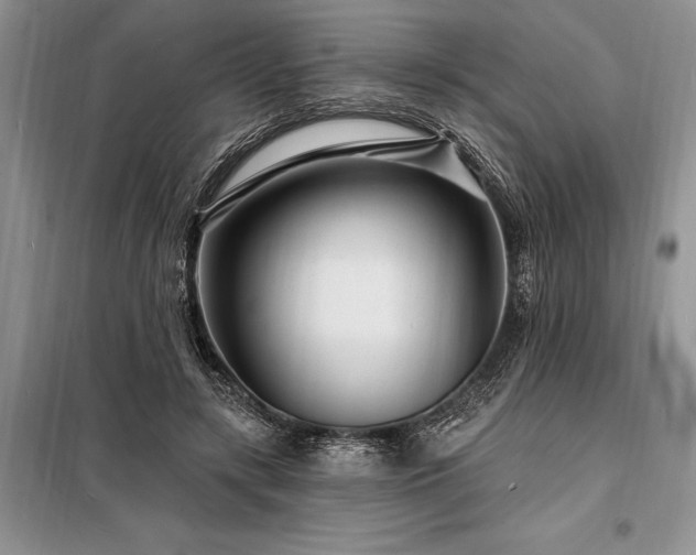 X0000098200547200805011149