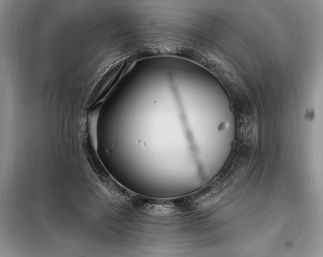 X0000098200548200805011149