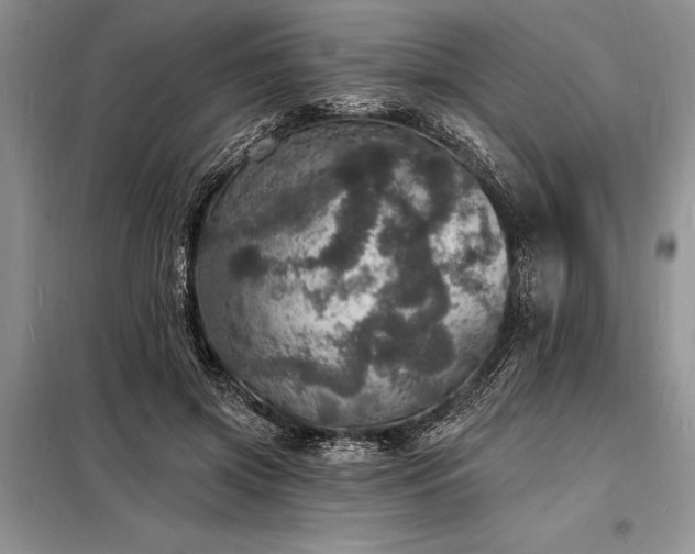 X0000098200549200805011149