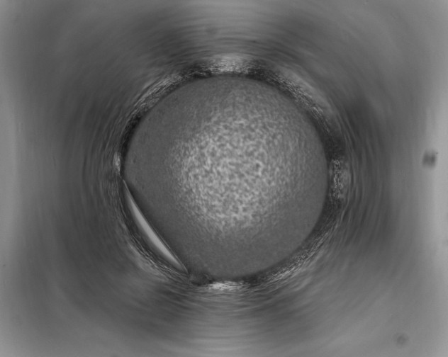 X0000098200550200805011149
