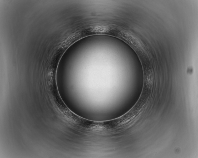 X0000098200551200805011149