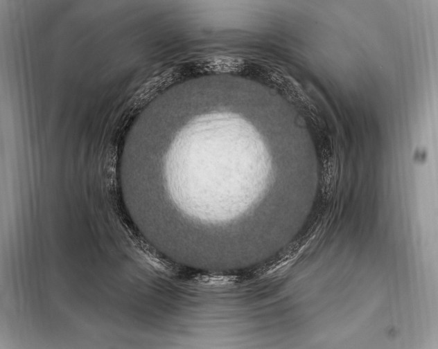 X0000098200553200805011149