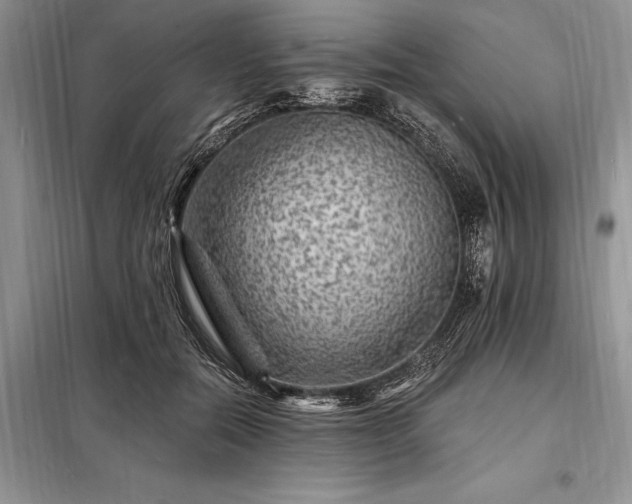 X0000098200554200805011149