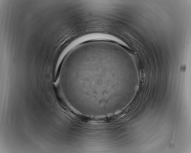 X0000098200556200805011149