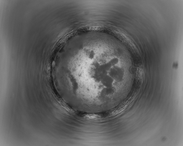 X0000098200557200805011149