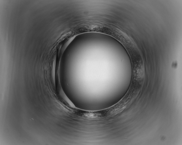 X0000098200558200805011149