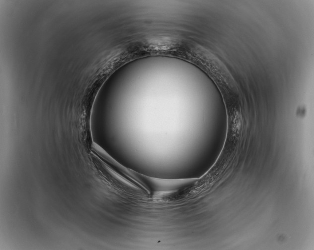 X0000098200559200805011149