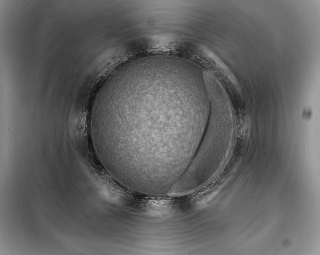 X0000098200560200805011149