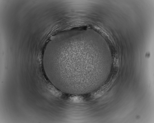 X0000098200561200805011149