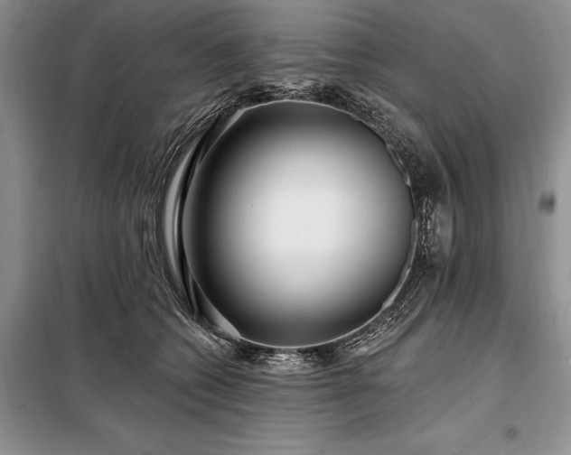 X0000098200562200805011149