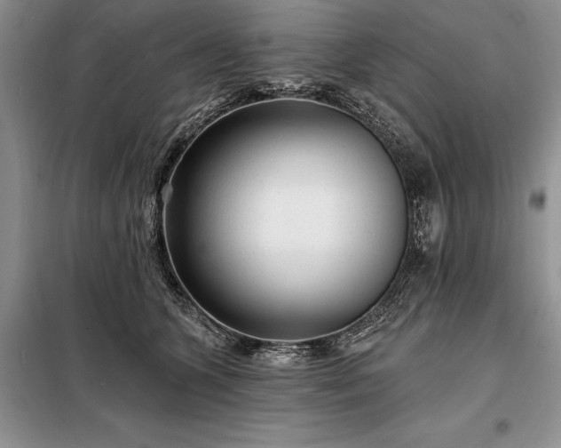 X0000098200563200805011149
